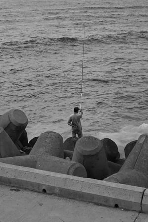 pexels-photo-20070500